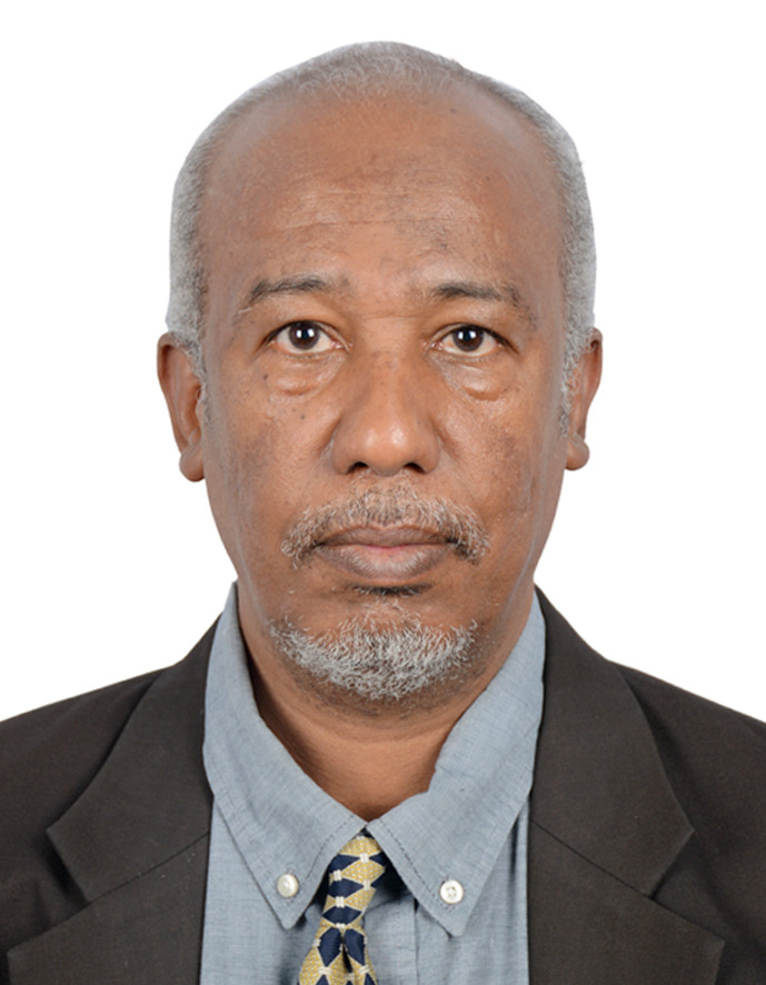 Ibrahim Elobeid Elfadil Musa