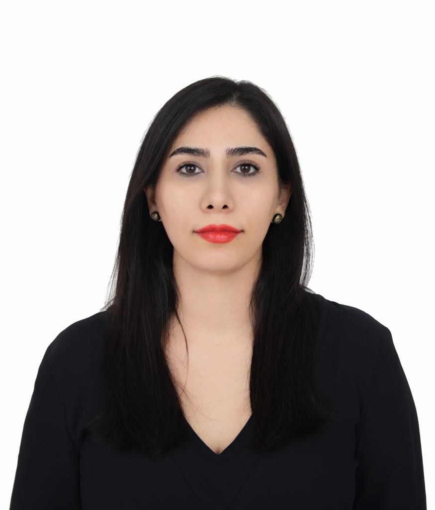 Maryam Mohsen Abedi