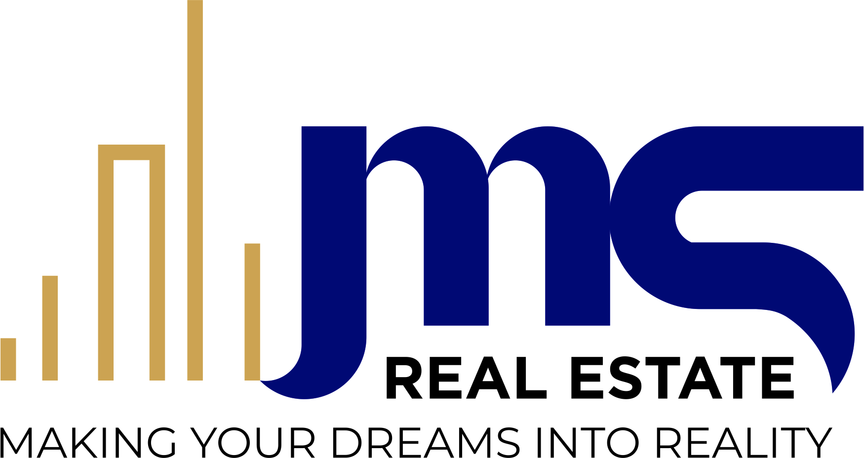J M S Real Estate L.L.C