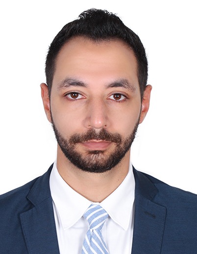 Mahmoud Hassan Tallis    