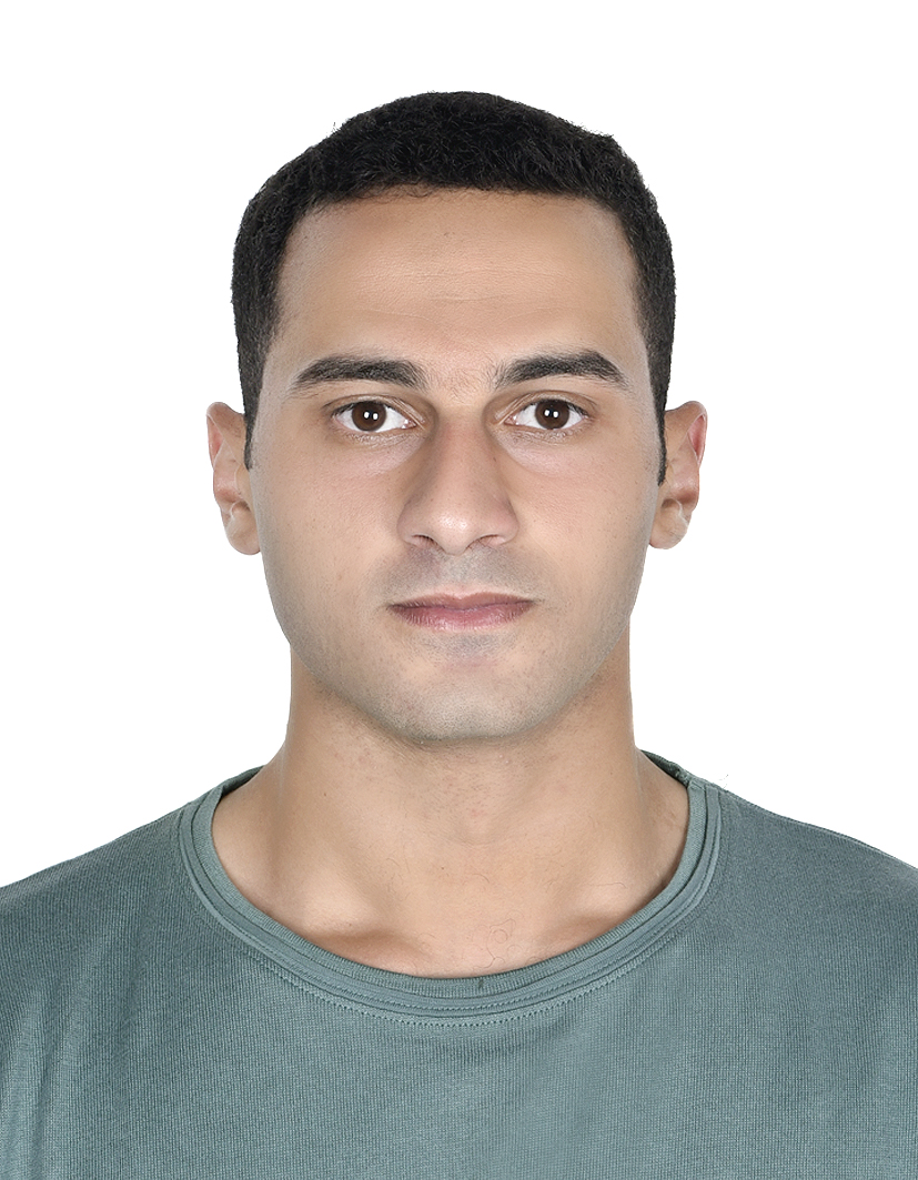 Mohamed Sayed Ahmed Fouad Abbas