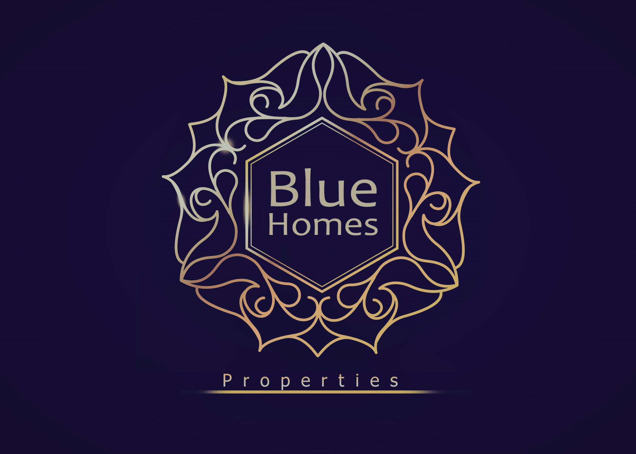 Blue Homes Properties L.L.C