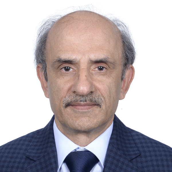 Fairuz Hasan Karam Ali