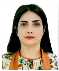 Naghmeh Morteza Sheikholeslami
