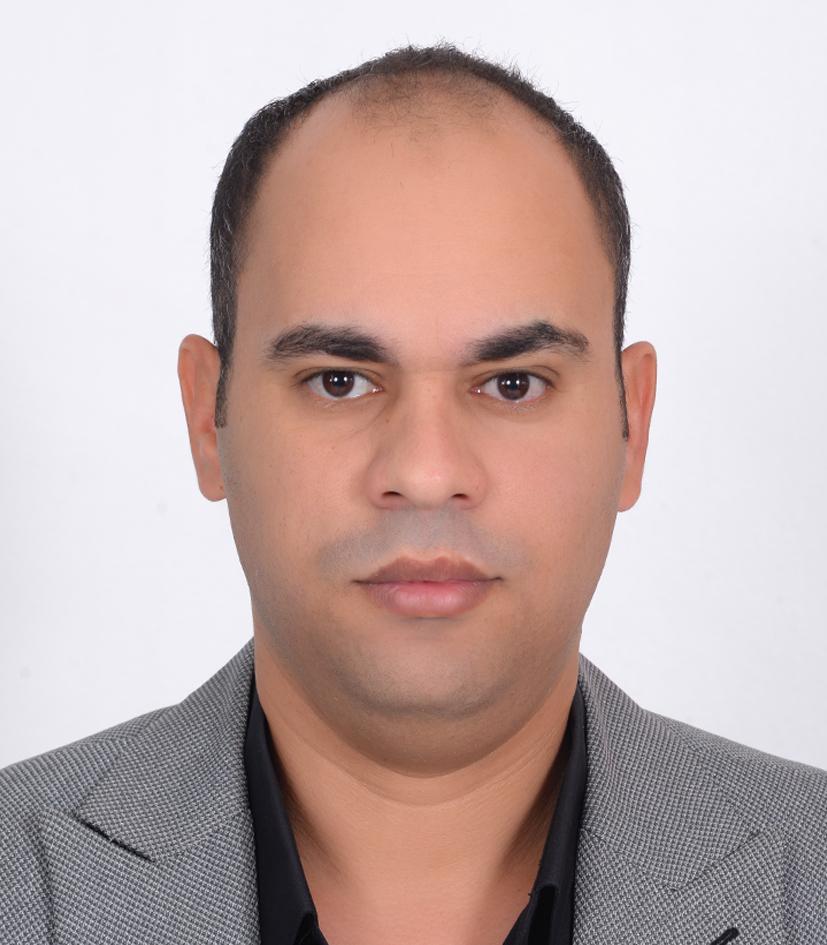 Emadeldin Abdelhamid Ahmed Melis