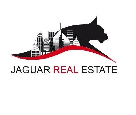 JAGUAR REAL ESTATE BROKER L.L.C