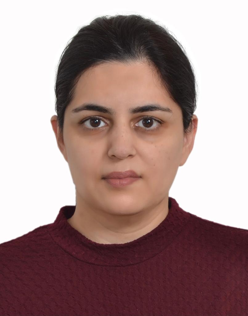  Hina Rizwan Rizwan Aziz