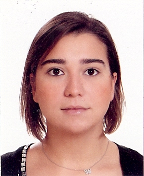 Zeynep Sarsar