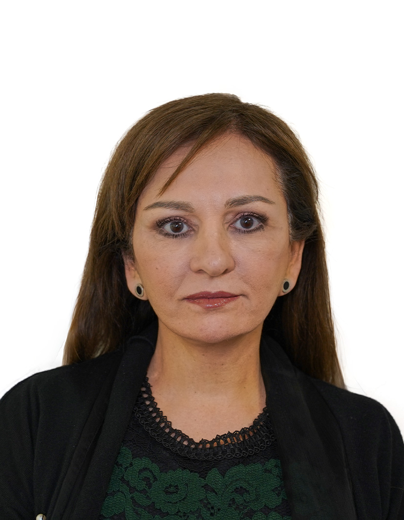 Mandana Mcmechan