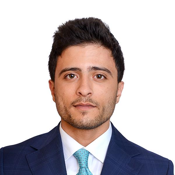 Hamza Aamer Zardah