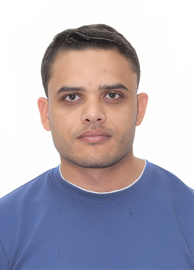 Ahmed Abdelaziz Ahmed Abdelwareth
